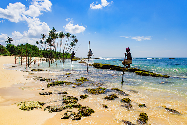 スリランカ旅行 おすすめ記事
