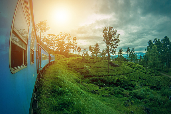 スリランカ旅行 食事・買い物・移動
